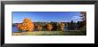 Tree In Autumn, Norway Pond, Hancock, New Hampshire, Usa by Panoramic Images Limited Edition Print