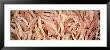 Eucalyptus Leaves by Panoramic Images Limited Edition Print