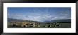 Rocks On A Field, Castelrigg Stone Circle, Keswick, Lake District, England by Panoramic Images Limited Edition Print