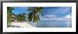 House On The Beach, Matira Beach, Bora Bora, French Polynesia by Panoramic Images Limited Edition Print