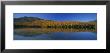 Reflection Of Trees And Hill In A Lake, Heart Lake, Adirondack, New York State, Usa by Panoramic Images Limited Edition Pricing Art Print