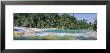 Water Flowing In The Forest, Agua Azul, Chiapas, Mexico by Panoramic Images Limited Edition Pricing Art Print