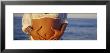 Pregnant Woman Touching Her Abdomen, Oak Street Beach, Chicago, Illinois, Usa by Panoramic Images Limited Edition Pricing Art Print
