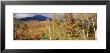 Mount Washington, White Mountain National Forest, Bartlett, New Hampshire, Usa by Panoramic Images Limited Edition Print