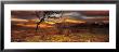 Snowdonia National Park, Wales, United Kingdom by Panoramic Images Limited Edition Pricing Art Print