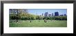 Group Of People In A Park, Sheep Meadow, Central Park, New York City, New York State, Usa by Panoramic Images Limited Edition Print