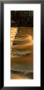 Water Flowing Over Stepping Stones, Egton Bridge, Whitby, North Yorkshire, England, United Kingdom by Panoramic Images Limited Edition Print