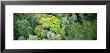 Tahune Forest Reserve, Tasmania, Australia by Panoramic Images Limited Edition Pricing Art Print