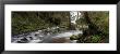Fishhawk Creek, Clatsop County, Oregon, Usa by Panoramic Images Limited Edition Pricing Art Print