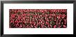 Tulips, Noordbeemster, Netherlands by Panoramic Images Limited Edition Print