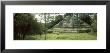 Temple Of The Jaguar, Lamanai, Belize by Panoramic Images Limited Edition Print
