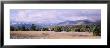 Trees In A Landscape, Sawtooth Mountains, Adirondack State Park, Lake Placid, New York State, Usa by Panoramic Images Limited Edition Print