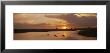 Hippos In Water, Kenya, Africa by Panoramic Images Limited Edition Print