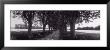 Road Through Trees, Provence, France by Panoramic Images Limited Edition Pricing Art Print