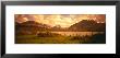 Saint Mary Lake, Montana, Usa by Panoramic Images Limited Edition Print
