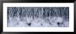 Waterfall, Kyoto, Japan by Panoramic Images Limited Edition Pricing Art Print