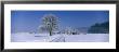 Winter Scenic, Austria by Panoramic Images Limited Edition Print