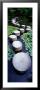 Shrine Garden, Kyoto, Japan by Panoramic Images Limited Edition Print