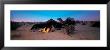 Bedouin Camp, Tunisia, Africa by Panoramic Images Limited Edition Print