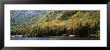 Deciduous Trees Along The Lake, White Mountain National Forest, New Hampshire, Usa by Panoramic Images Limited Edition Print