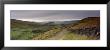 A Path On A Landscape, Ribblesdale, Yorkshire Dales, Yorkshire, England, United Kingdom by Panoramic Images Limited Edition Print