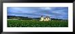 Grand Cru Vineyard, Burgundy, France by Panoramic Images Limited Edition Print