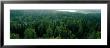 Finland, Aulanko, Scandinavian Forest by Panoramic Images Limited Edition Pricing Art Print