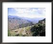 Terraces On Slopes Of Mountain Interior At 1800M Altitude, Bois D'avril, Haiti, West Indies by Lousie Murray Limited Edition Print