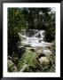 Dunns River Falls, Jamaica, West Indies, Caribbean, Central America by Robert Harding Limited Edition Print