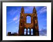 Ruins Of St. Andrews Cathedral, St. Andrews, Fife, Scotland, United Kingdom by Glenn Beanland Limited Edition Print