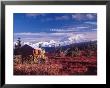 Log Stucture Keeps Bears From Food, Mt. Denali, Alaska, Usa by Charles Sleicher Limited Edition Print