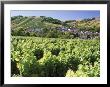 Vineyards At Bue, Near Sancerre, Loire Centre, France by Michael Busselle Limited Edition Pricing Art Print