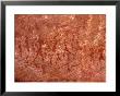 Rock Painting Of Hunting Scene, Sahara by Michele Molinari Limited Edition Print