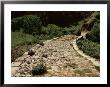 Roman Road Near Cirauqui, On The Camino, Navarre, Spain by Ken Gillham Limited Edition Pricing Art Print