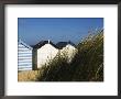 Beach Huts, Southwold, Suffolk, England, United Kingdom by Amanda Hall Limited Edition Print