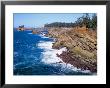 Shore Acres State Park, Oregon Coast, Usa by Janis Miglavs Limited Edition Print