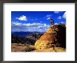 Biker Challenges Slickrock Near Rockville, Utah, Usa by Howie Garber Limited Edition Print