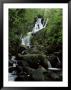 Torc Waterfall, Killarney, County Kerry, Munster, Eire (Republic Of Ireland) by Roy Rainford Limited Edition Print