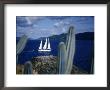 Sailboat, Baja, Mexico by John Connell Limited Edition Print