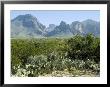 Big Bend National Park, Texas, Usa by Ethel Davies Limited Edition Pricing Art Print