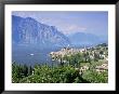 Malcesine, Lake Garda, Trentino-Alto Adige, Italian Lakes, Italy by Gavin Hellier Limited Edition Print
