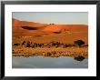 Sossusvlei, Hardap, Namibia by Ariadne Van Zandbergen Limited Edition Print