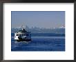 Wa State Ferry Nearing Colman, Seattle, Washington, Usa by Lawrence Worcester Limited Edition Print