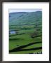 Green Dales And Traditional Stone Walls, England by Stephen Saks Limited Edition Print