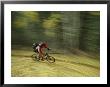 Jim Hall Speeds Down Bear Creek Trail On A Bicycle by Bill Hatcher Limited Edition Print