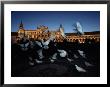 Pigeons In A Square In Seville by Steve Winter Limited Edition Pricing Art Print