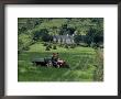 Croft With Hay Cocks And Tractor, Glengesh, West Donegal, Eire (Republic Of Ireland) by Duncan Maxwell Limited Edition Print