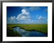 Marsh Canal In Oyster Bayou by James P. Blair Limited Edition Print