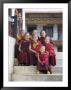 Group Of Young Buddhist Monks, Karchu Dratsang Monastery, Jankar, Bumthang, Bhutan by Angelo Cavalli Limited Edition Print
