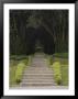 Woodstock Gardens And Arboretum, Inistioge, County Kilkenny, Leinster, Republic Of Ireland (Eire) by Sergio Pitamitz Limited Edition Print